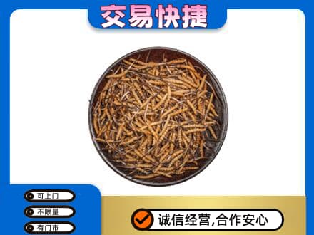 湛江市礼品回收虫草.jpg