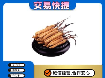 湛江市礼品回收散虫草.jpg